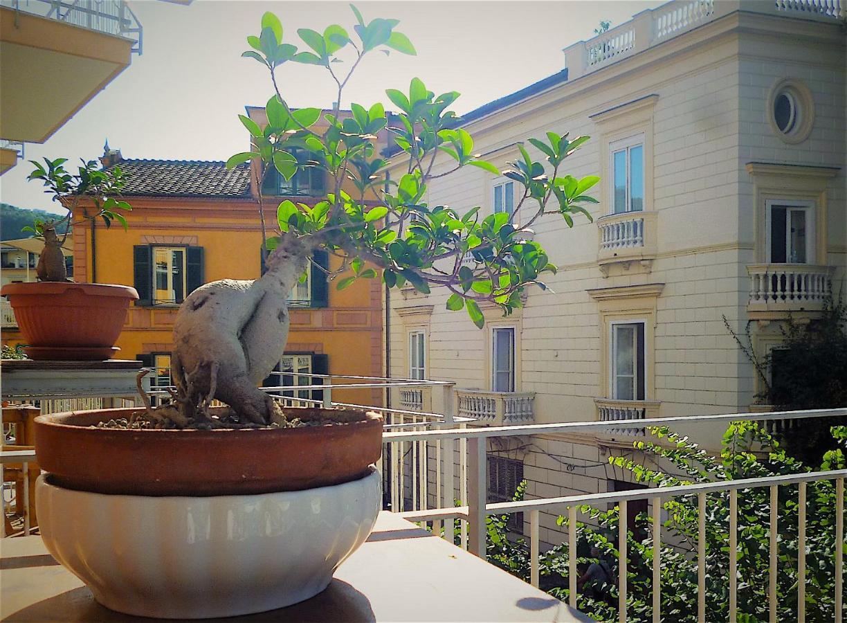 Angelina Suite B&B - Sorrento Centro ภายนอก รูปภาพ
