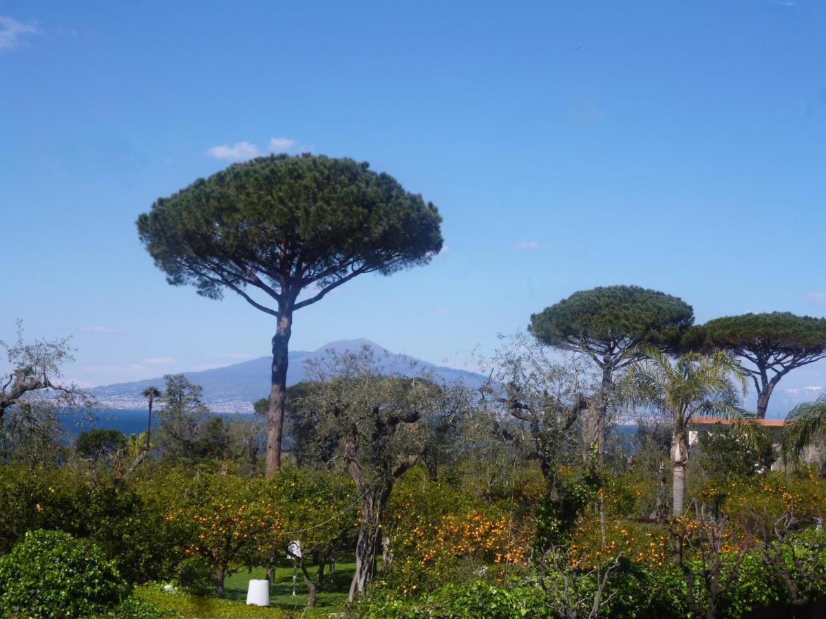 Angelina Suite B&B - Sorrento Centro ภายนอก รูปภาพ