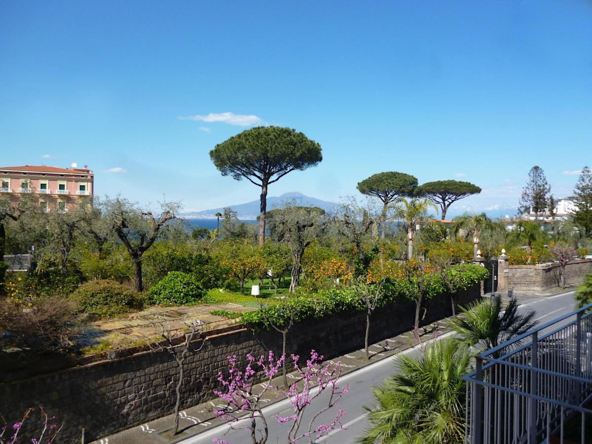 Angelina Suite B&B - Sorrento Centro ภายนอก รูปภาพ